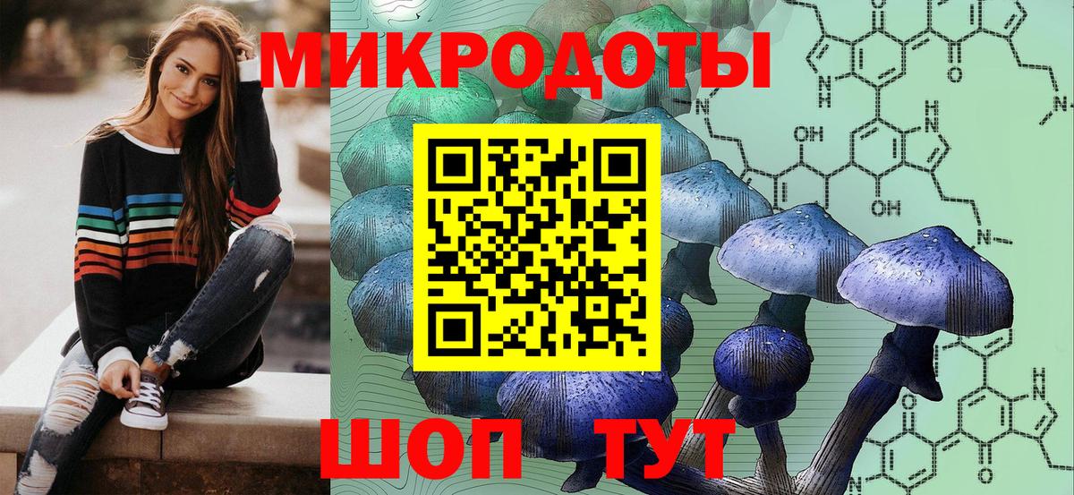 Галлюциногенные грибы Psilocybine cubensis Соликамск