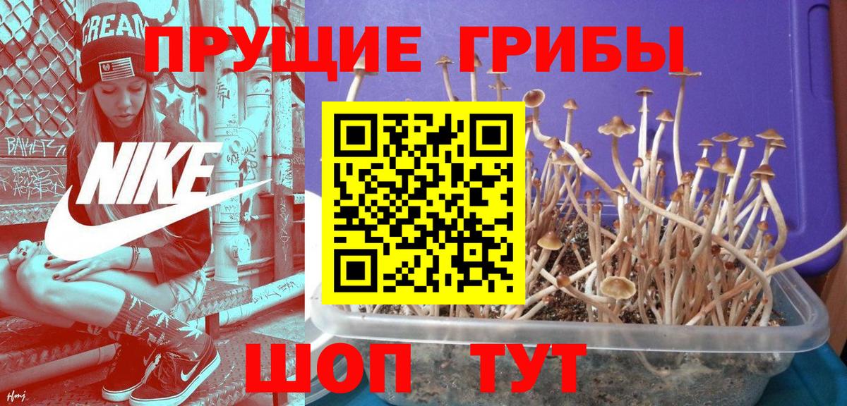 Псилоцибиновые грибы ЛСД  Вход с VPN  Соликамск 